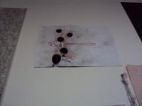 /album/fotogaleria-2014/dsc01570-jpg/