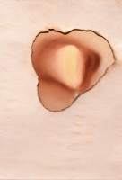 /album/souvenirs-2013/a21-jpg/