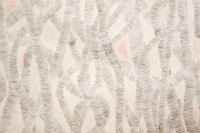 /album/souvenirs-2013/a50-jpg/