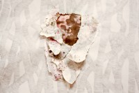 /album/souvenirs-2013/a8a-jpg/